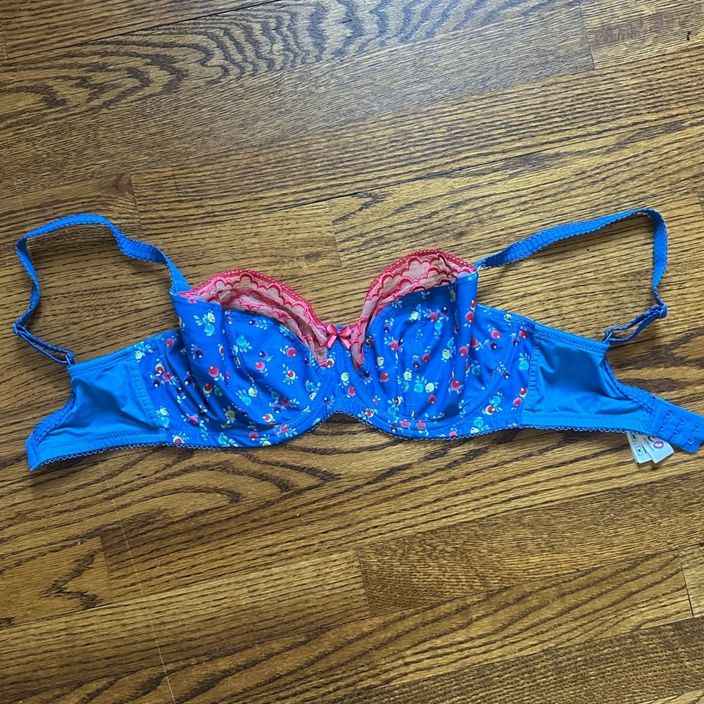 Cleo by Panache underwire bra 30F